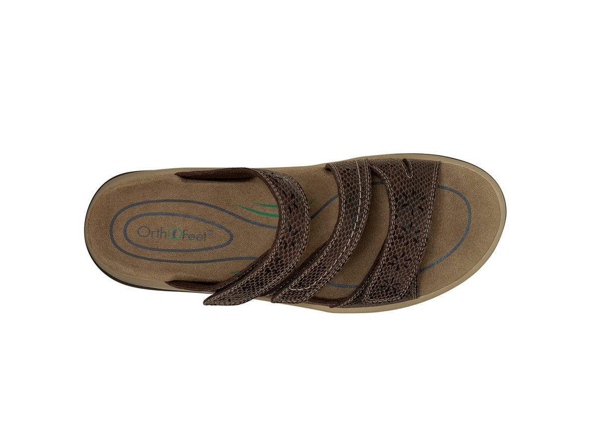 Sahara - Brown Snake